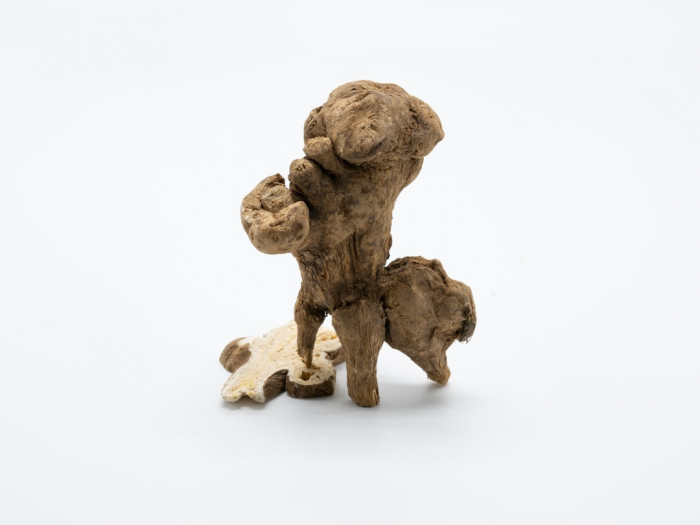 Wall Street İngilizce Kursu: Taksim'de Kaliteli Eğitim