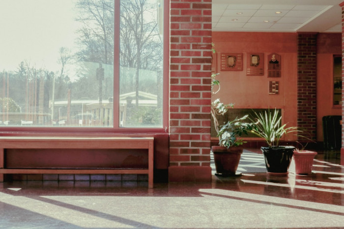 5. Sınıf İngilizce Online Test Çalışmaları